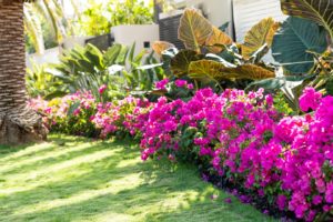 Buying a Landscaping Business in Palm Beach Gardens FL