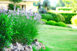 How Much Can I Sell My Landscaping Business For?