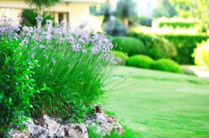 How Much Can I Sell My Landscaping Business For?