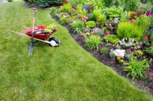 Buying a Landscaping Business in Boca Raton FL