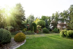 Buying a Landscaping Business in Orange Park FL