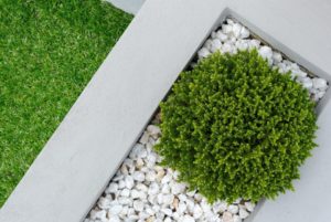 Buying a Landscaping Business in Palm Harbor FL