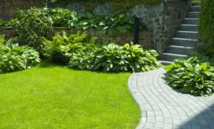 How Much is My Landscape Company Worth