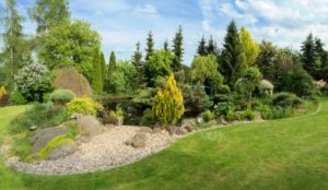 Selling a Lawn Care company
