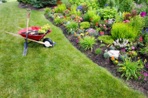 How Much Can I Sell My Landscaping Business For?