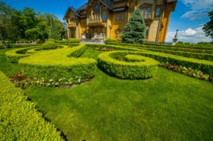 Buying a Landscaping Business in Clermont