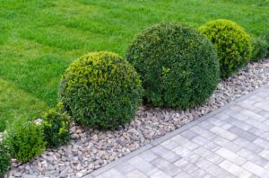 Buying a Landscaping Business in Grand Island