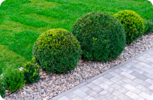 Landscape Businesses for Sale in Flagler County FL