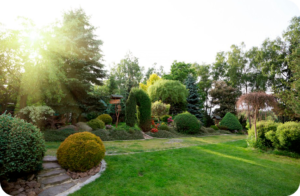 Selling a Lawn Care Company in Durham NC