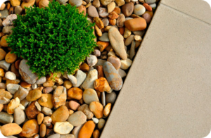Landscape Company For Sale in GA